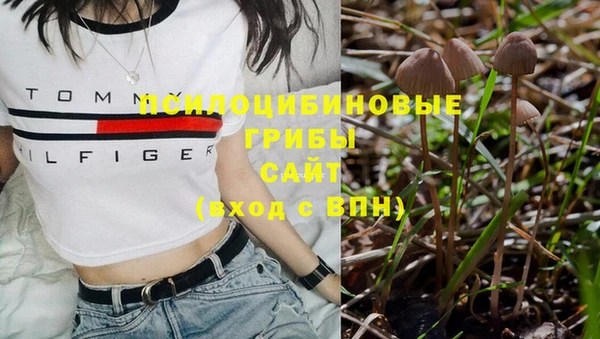 винт Богородицк