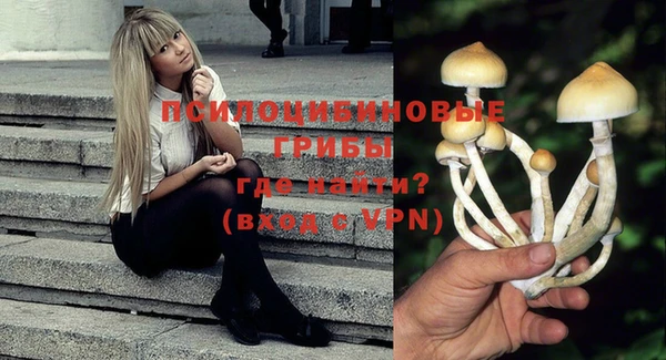 марки lsd Богданович